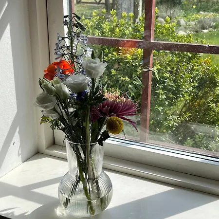 Rebild Skovhuse * Skorping